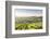 The vineyards of Sancerre above Chavignol, Cher, Centre, France, Europe-Julian Elliott-Framed Photographic Print