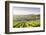 The vineyards of Sancerre above Chavignol, Cher, Centre, France, Europe-Julian Elliott-Framed Photographic Print