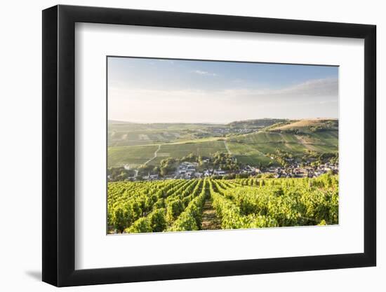The vineyards of Sancerre above Chavignol, Cher, Centre, France, Europe-Julian Elliott-Framed Photographic Print
