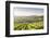 The vineyards of Sancerre above Chavignol, Cher, Centre, France, Europe-Julian Elliott-Framed Photographic Print