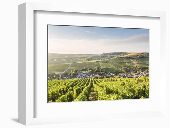 The vineyards of Sancerre above Chavignol, Cher, Centre, France, Europe-Julian Elliott-Framed Photographic Print