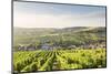 The vineyards of Sancerre above Chavignol, Cher, Centre, France, Europe-Julian Elliott-Mounted Photographic Print