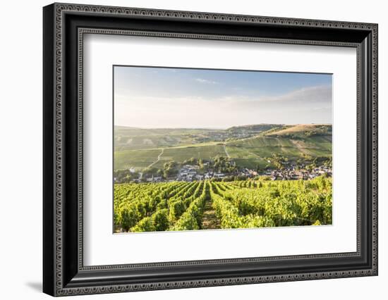 The vineyards of Sancerre above Chavignol, Cher, Centre, France, Europe-Julian Elliott-Framed Photographic Print