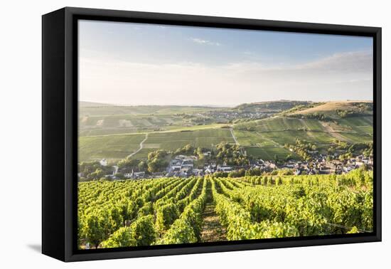 The vineyards of Sancerre above Chavignol, Cher, Centre, France, Europe-Julian Elliott-Framed Premier Image Canvas