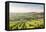 The vineyards of Sancerre above Chavignol, Cher, Centre, France, Europe-Julian Elliott-Framed Premier Image Canvas