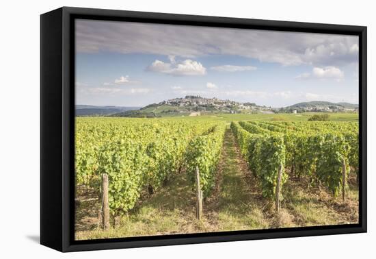 The vineyards of Sancerre, France. Known for its fine wines from grape varities such as pinot noir -Julian Elliott-Framed Premier Image Canvas