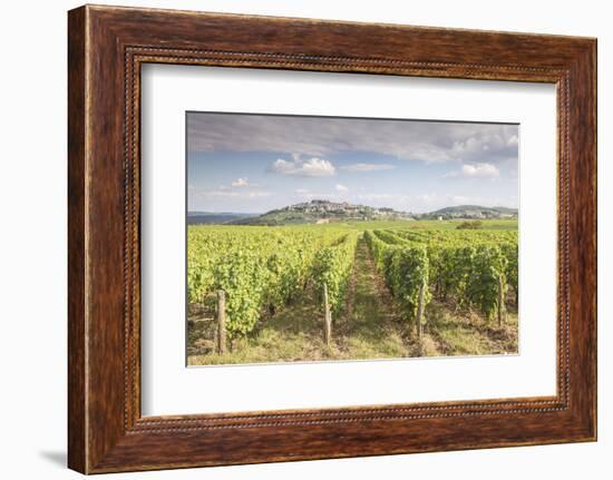 The vineyards of Sancerre, France. Known for its fine wines from grape varities such as pinot noir -Julian Elliott-Framed Photographic Print