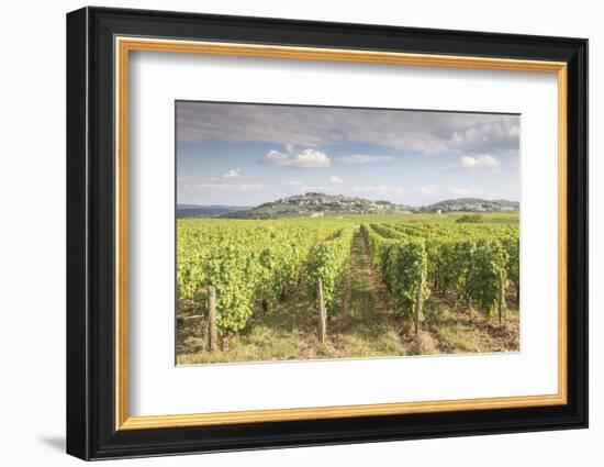 The vineyards of Sancerre, France. Known for its fine wines from grape varities such as pinot noir -Julian Elliott-Framed Photographic Print