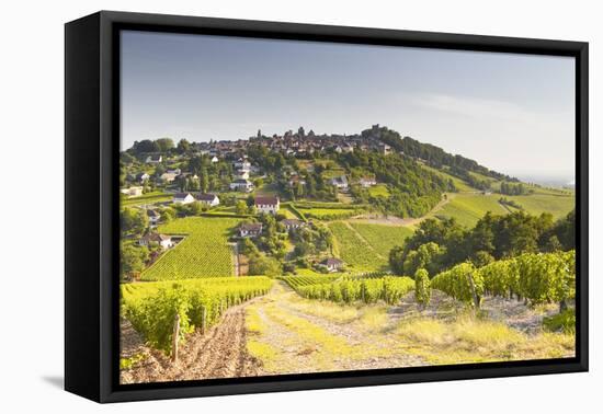 The Vineyards of Sancerre in the Loire Valley, Cher, Centre, France, Europe-Julian Elliott-Framed Premier Image Canvas