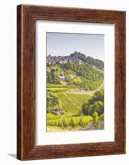 The Vineyards of Sancerre in the Loire Valley, Cher, Centre, France, Europe-Julian Elliott-Framed Photographic Print