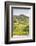 The Vineyards of Sancerre in the Loire Valley, Cher, Centre, France, Europe-Julian Elliott-Framed Photographic Print