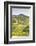 The Vineyards of Sancerre in the Loire Valley, Cher, Centre, France, Europe-Julian Elliott-Framed Photographic Print