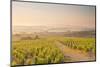 The Vineyards of Sancerre in the Loire Valley, Cher, Centre, France, Europe-Julian Elliott-Mounted Photographic Print