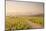 The Vineyards of Sancerre in the Loire Valley, Cher, Centre, France, Europe-Julian Elliott-Mounted Photographic Print