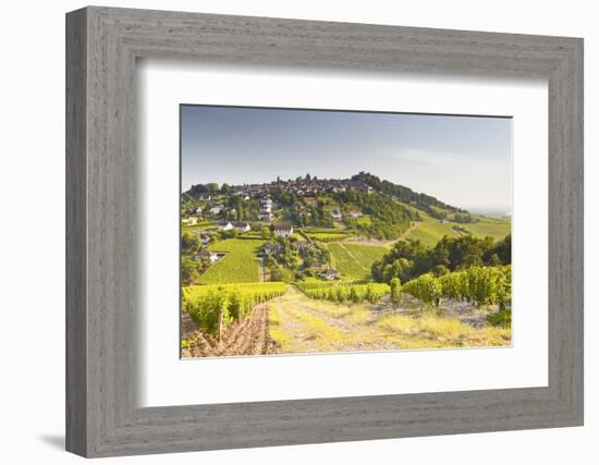 The Vineyards of Sancerre in the Loire Valley, Cher, Centre, France, Europe-Julian Elliott-Framed Photographic Print