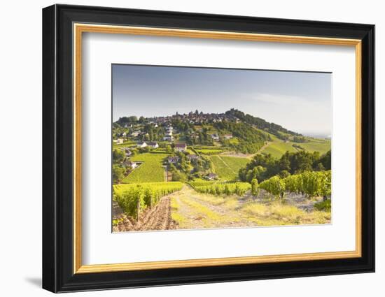 The Vineyards of Sancerre in the Loire Valley, Cher, Centre, France, Europe-Julian Elliott-Framed Photographic Print