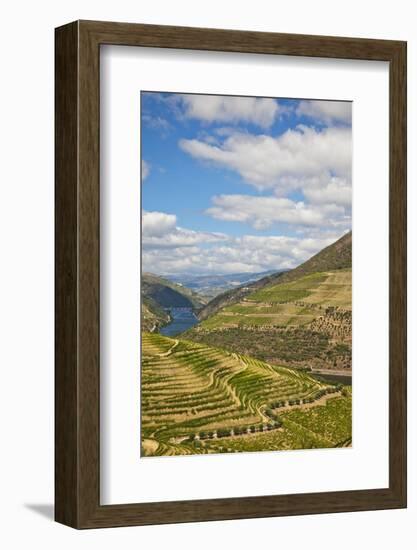 The Vineyards of the Douro Valley above Pinhao are Set on Terraced Hillsides above the Douro River.-Julianne Eggers-Framed Photographic Print