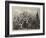 The Vintage in Bas Languedoc, South of France-null-Framed Giclee Print