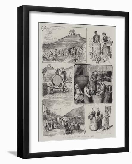 The Vintage in the Canton of Vaud-Paul Destez-Framed Giclee Print