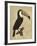 The Vintage Toucan I-Maria Mendez-Framed Giclee Print