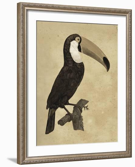 The Vintage Toucan I-Maria Mendez-Framed Giclee Print