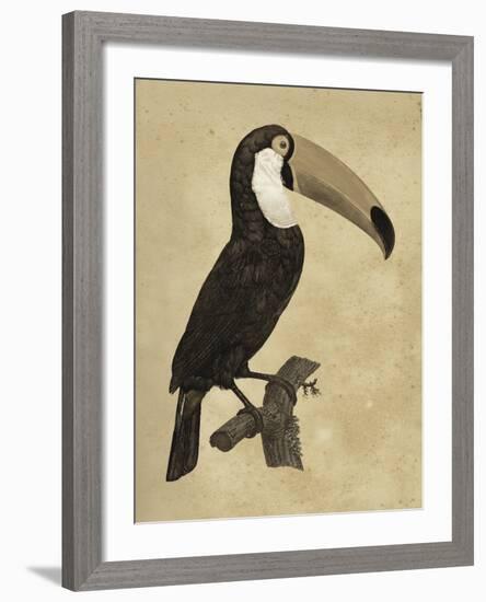 The Vintage Toucan I-Maria Mendez-Framed Giclee Print