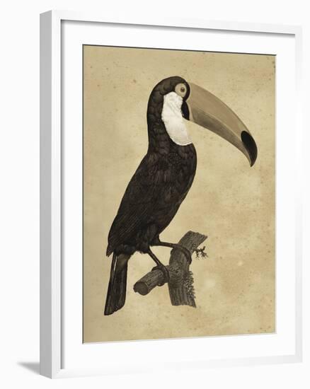 The Vintage Toucan I-Maria Mendez-Framed Giclee Print