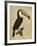 The Vintage Toucan I-Maria Mendez-Framed Giclee Print