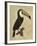 The Vintage Toucan I-Maria Mendez-Framed Giclee Print