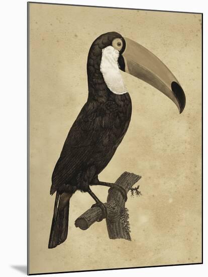 The Vintage Toucan I-Maria Mendez-Mounted Giclee Print