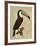 The Vintage Toucan I-Maria Mendez-Framed Giclee Print