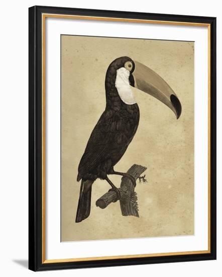 The Vintage Toucan I-Maria Mendez-Framed Giclee Print