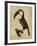 The Vintage Toucan II-Maria Mendez-Framed Giclee Print