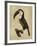 The Vintage Toucan II-Maria Mendez-Framed Giclee Print