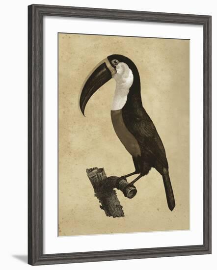 The Vintage Toucan II-Maria Mendez-Framed Giclee Print