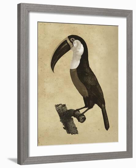 The Vintage Toucan II-Maria Mendez-Framed Giclee Print