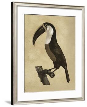 The Vintage Toucan II-Maria Mendez-Framed Giclee Print