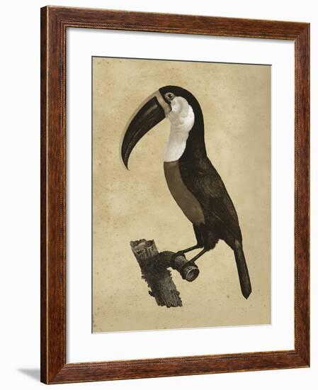 The Vintage Toucan II-Maria Mendez-Framed Giclee Print