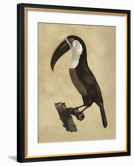 The Vintage Toucan II-Maria Mendez-Framed Giclee Print