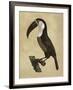 The Vintage Toucan II-Maria Mendez-Framed Giclee Print