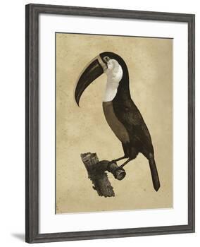 The Vintage Toucan II-Maria Mendez-Framed Giclee Print