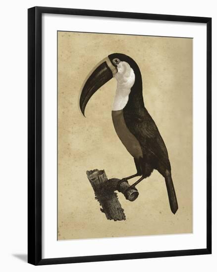 The Vintage Toucan II-Maria Mendez-Framed Giclee Print