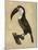 The Vintage Toucan II-Maria Mendez-Mounted Giclee Print