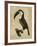 The Vintage Toucan II-Maria Mendez-Framed Giclee Print