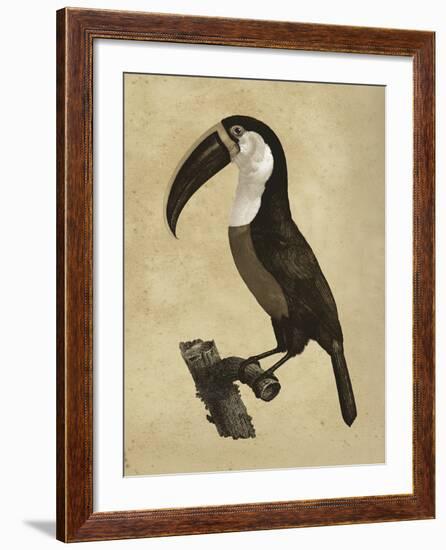 The Vintage Toucan II-Maria Mendez-Framed Giclee Print