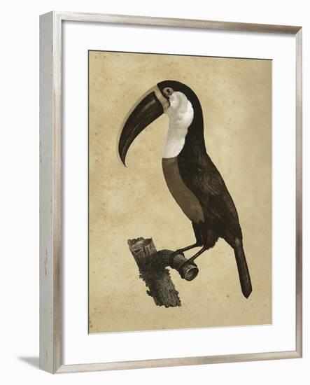 The Vintage Toucan II-Maria Mendez-Framed Giclee Print