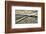 The Vintage Vanishing Point-Eric Wood-Framed Art Print