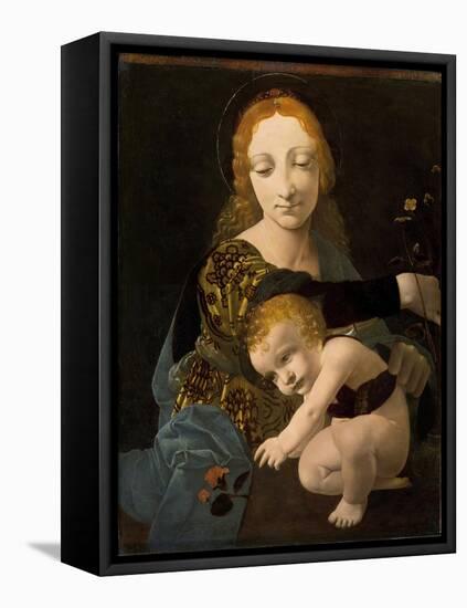 The Virgin and Child, 1480-Giovanni Antonio Boltraffio-Framed Premier Image Canvas