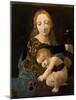 The Virgin and Child, 1480-Giovanni Antonio Boltraffio-Mounted Giclee Print