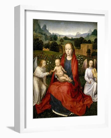 The Virgin and Child between two Angels, 1480-1490-Hans Memling-Framed Giclee Print